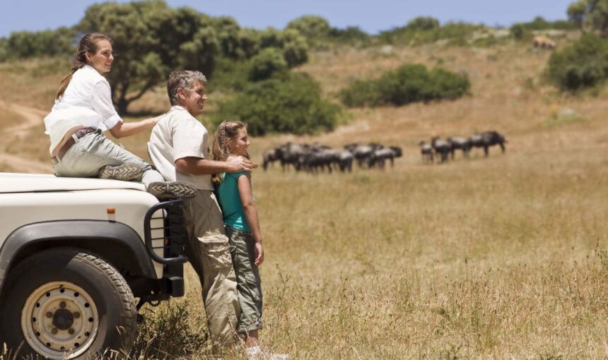 Best Family Safari Destinations in Tanzania Unforgettable Adventures for All Ages 2026