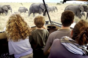 best-family-safari-destinations-tanzania