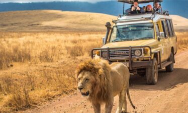3-Day Group Tour to Serengeti & Ngorongoro