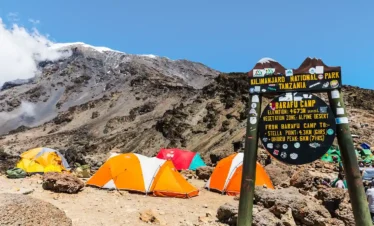 9-Day Kilimanjaro via Lemosho Route